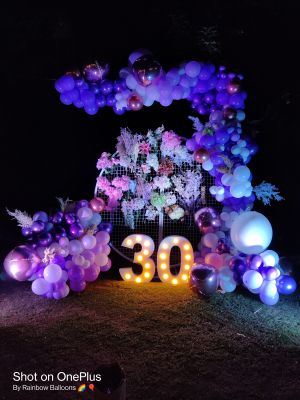 SURPRISE DECOR